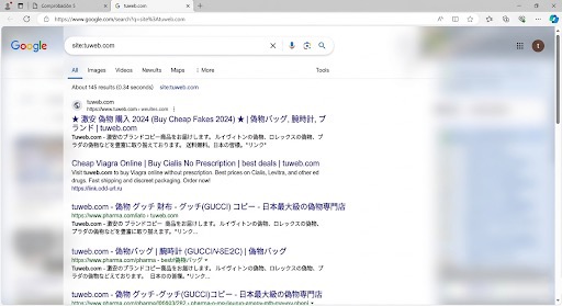 SEO Spam — páginas basura indexadas en Google por hackeo